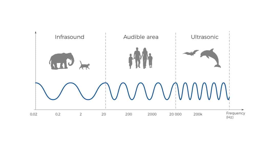What are the types of sound waves in acoustics